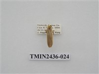 藏品(黃緣苔蛾)的圖片